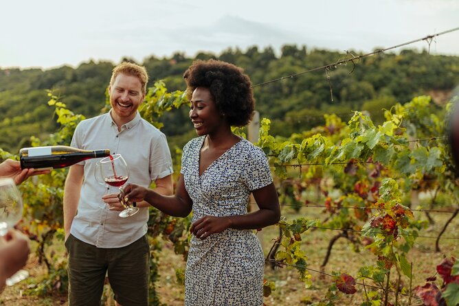 Vistas and Wines: Adelaides Gems and Wine Private Tour - Itinerary Breakdown: What to Expect at Each Stop