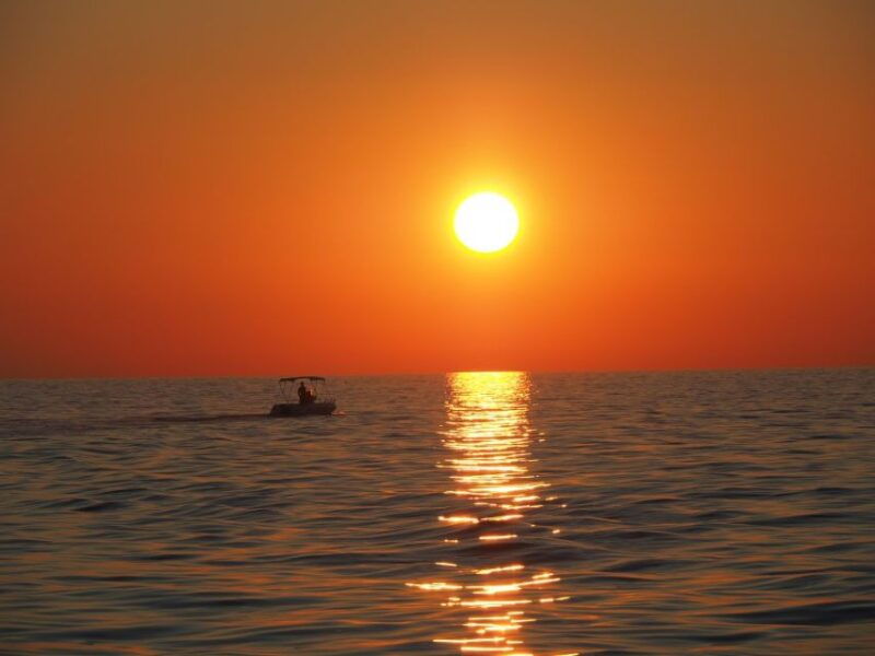 vrsar-dolphin-watching-boat-ride