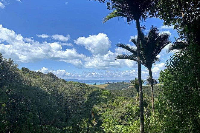 Waiheke Island Private Guided Te Ara Hura Walk - Pricing and Value