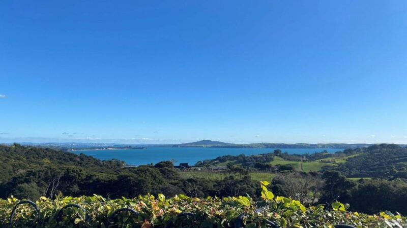 waiheke-island-the-essence-of-waiheke-wine-tour