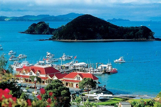 Waitangi Treaty Ground Day Trip Private Transport From Auckland - The Practicalities