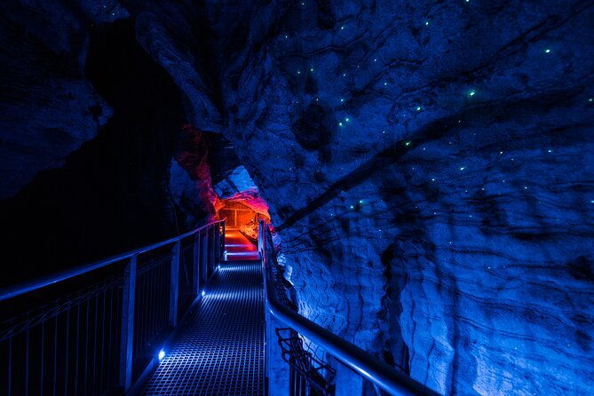 Waitomo Triple Cave Experience - Private Tour From Auckland - Final Thoughts: Is It Worth It?  