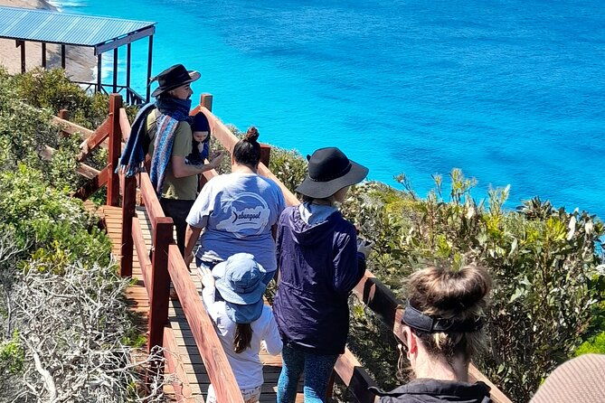 Walk on Country at Taananeditj (Rotary Lookout) - What to Expect on Your Walk