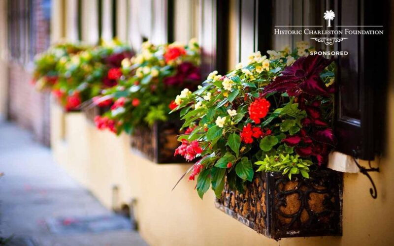 walking-history-tour-charleston-sc