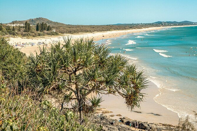 Walking Photography Activity in Coolum Beach - The Location and Setting