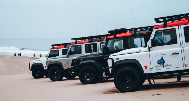 walvis-bay-dolphin-cruise-pink-lakes-and-4x4-dune-drive