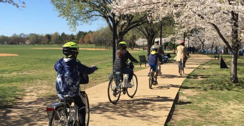 washington-dc-cherry-blossom-festival-tour-by-bike