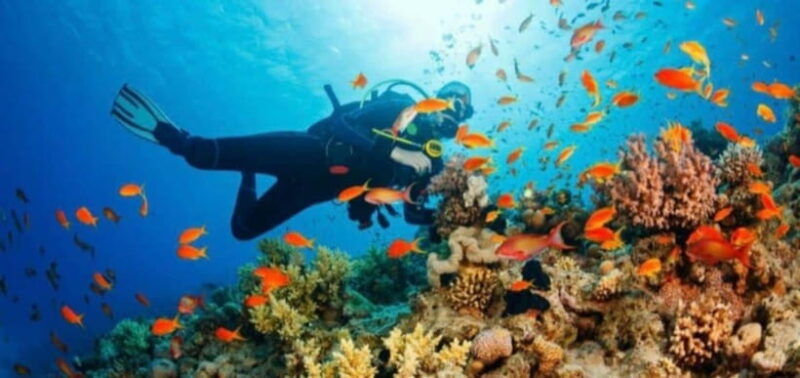 water-sports-experience-in-bali
