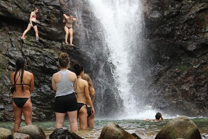 Waterfall and Fijian Village Tour with Light Lunch ex Nadi Area Hotels - What Travelers Should Know