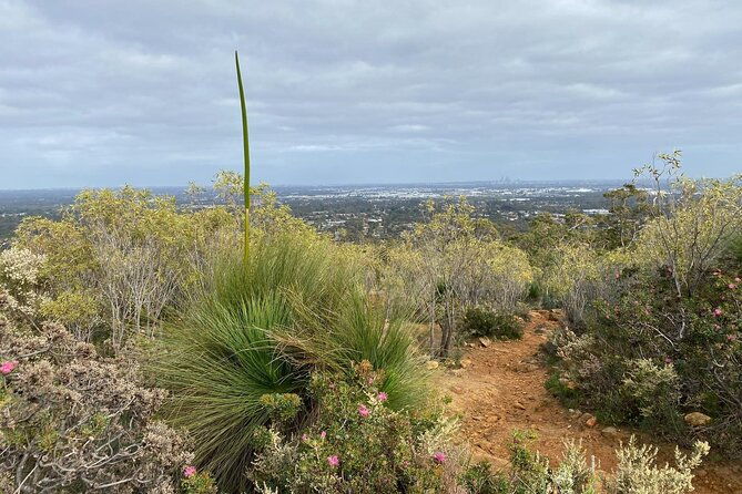 Waterfalls, Wildflowers & Wandoo Hiking Experience - Who Should Book This Experience?