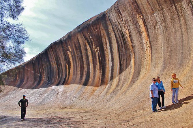 Wave Rock & Rottnest Island - Air & Ground Tour - Authentic Experiences Reported by Travelers