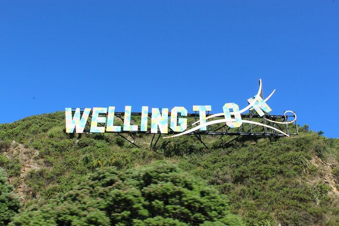 Wellington City and Sea: Private Tour in Electric Tesla SUV - What Travelers Say