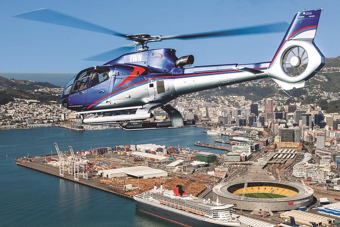 Wellington South Coast Discovery Helicopter Flight - Who Should Consider This Tour?