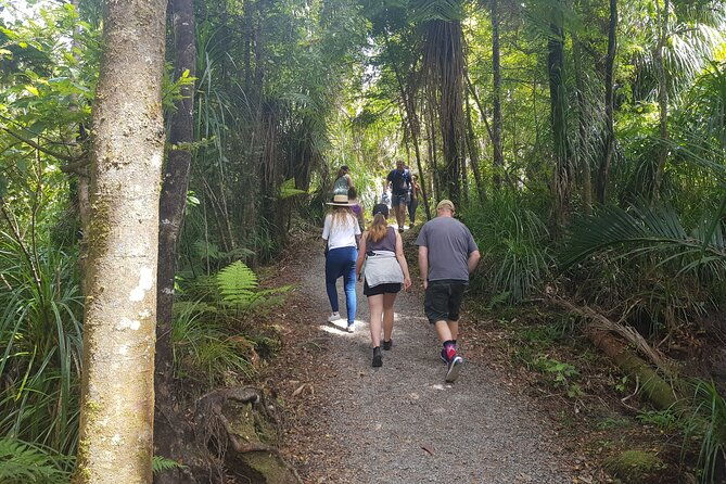 West Coast Full Day Tour - What Travelers Are Saying