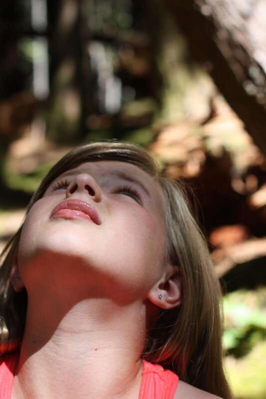 whistler-forest-walk-tour-for-families
