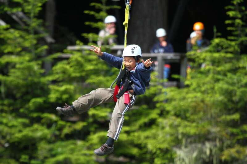 whistler-zipline-experience-ziptrek-bear-tour