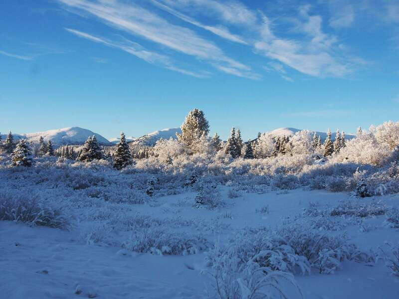 whitehorse-half-day-snowshoeing-tour