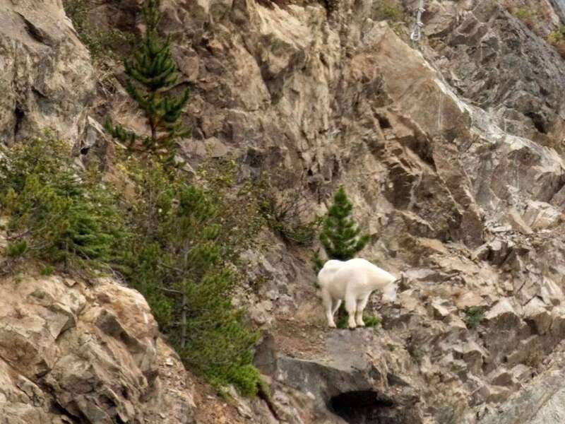 wild-adventure-yukon-summit-tour-2