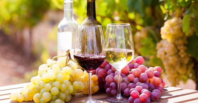 wine-tasting-in-the-vesuvius-national-park-3