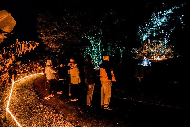 Wonderland by Night Norfolk Island - Who Will Love This Tour