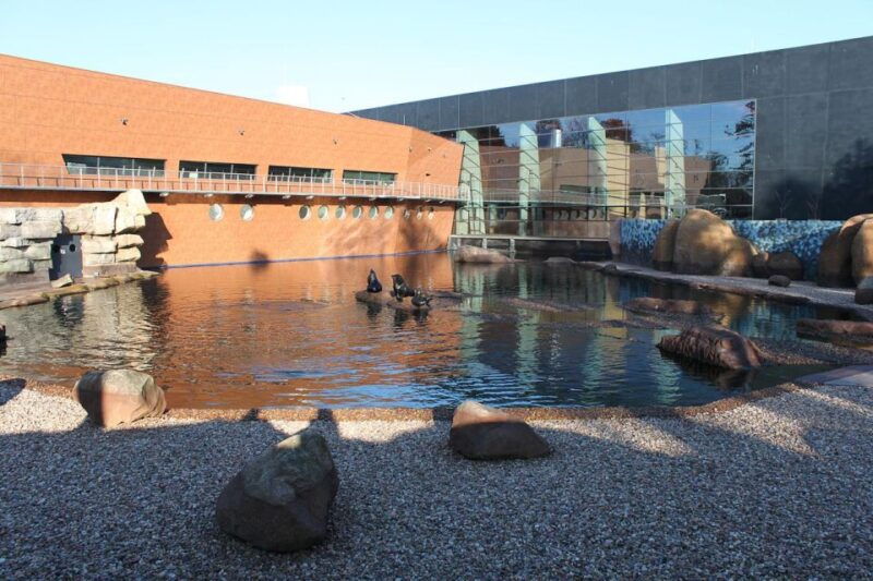wroclaw-wroclaw-zoo-entry-ticket-with-private-transfer