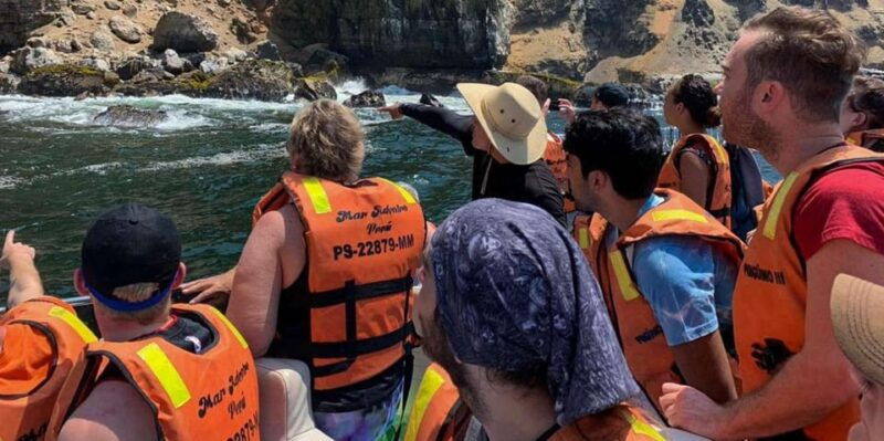 yacht-tour-around-the-palomino-island