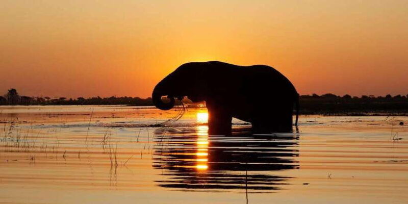 yala-national-parkfull-day-safari-4-00am-6-00pm