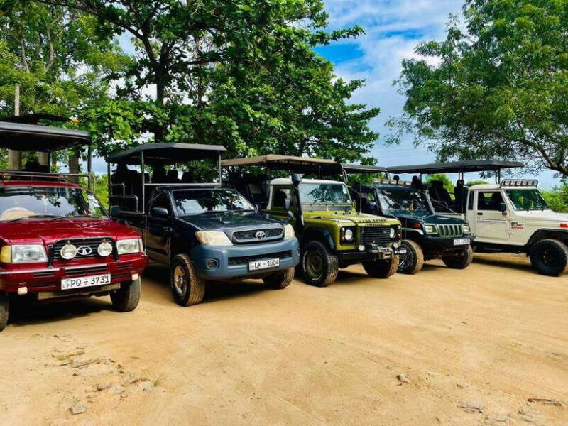 yala-udawalawe-safari-elephant-home-lifetime-experience
