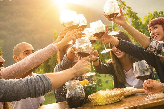 Yarra Valley, Dandenong Ranges inc. lunch with wine,plus morning tea,chocolate - What We Love About This Tour