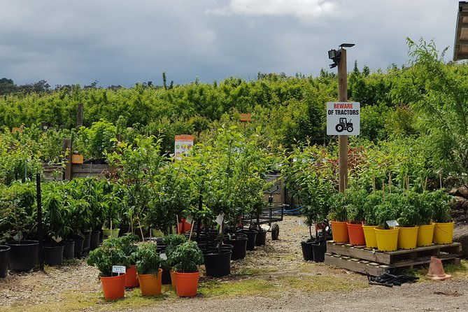 Yarra Valley Wineries and Rayners Orchard Tour from Melbourne - Practical Details and Comfort