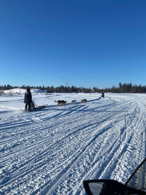 yellowknife-dog-sledding-tour