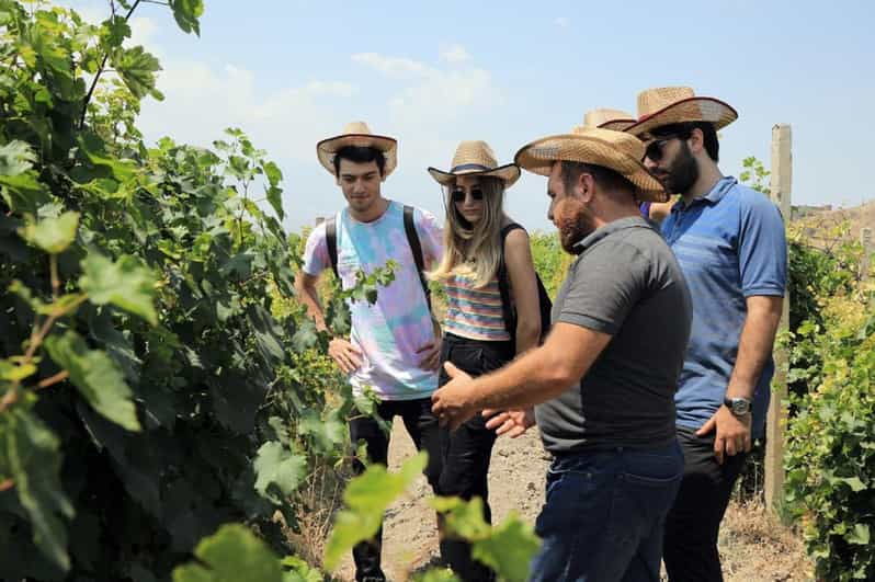 yerevan-khor-virap-day-trip-with-mount-ararat-wine-tasting