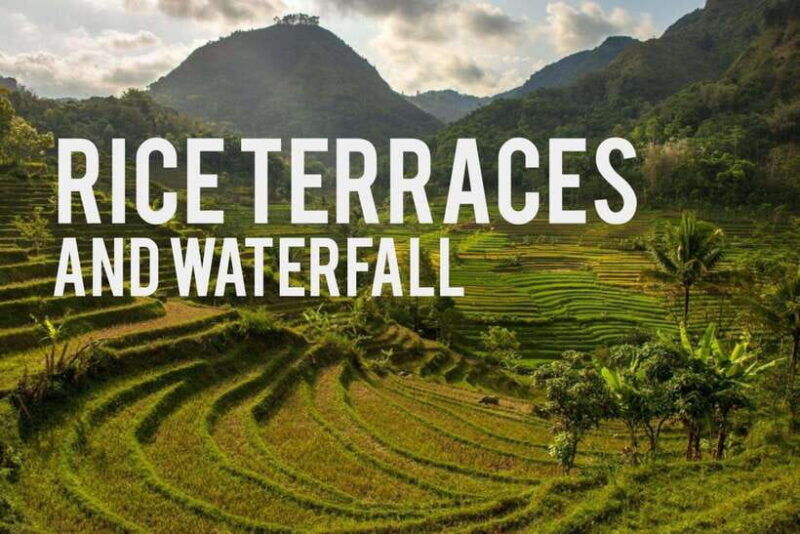 yogyakarta-rice-terraces-hike-and-kedungkayang-waterfall