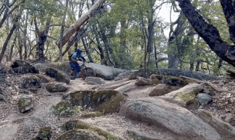 yosemite-valley-area-standard-bike-rental