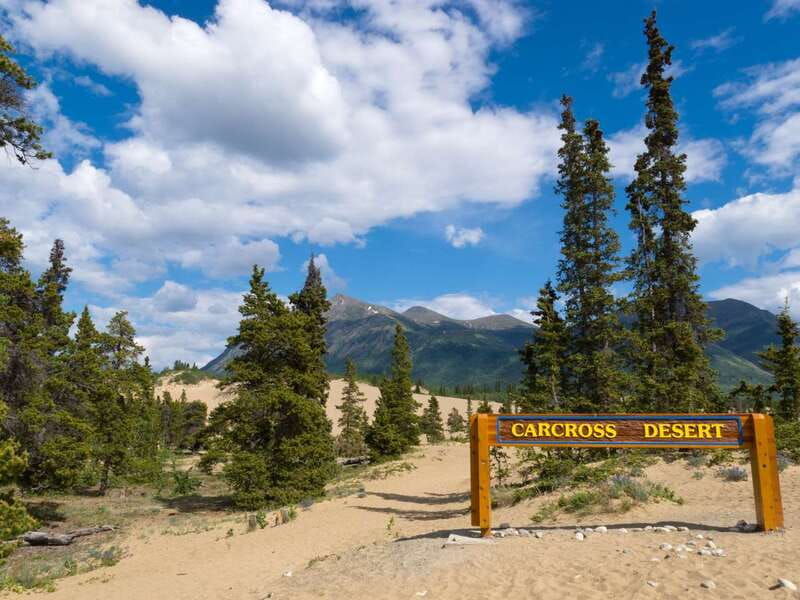 yukon-escapade-lakes-wilderness-and-hidden-gems-3