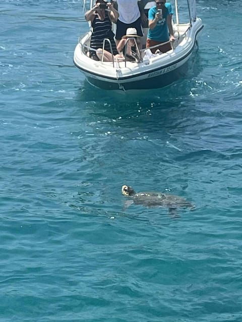 zakynthoscruise-around-the-islandturtles-by-eurosky