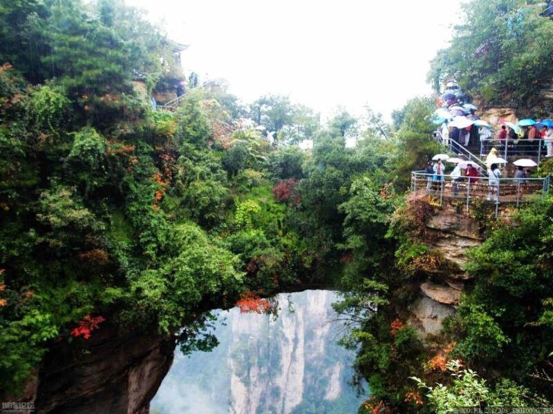 zhangjiajie-national-forest-park-private-day-tour