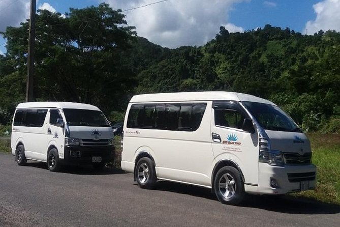 Zip line Fiji ex Fiji Marriot w/private transfer dropoff Nadi Airport or resort - Who Will Love This Tour?