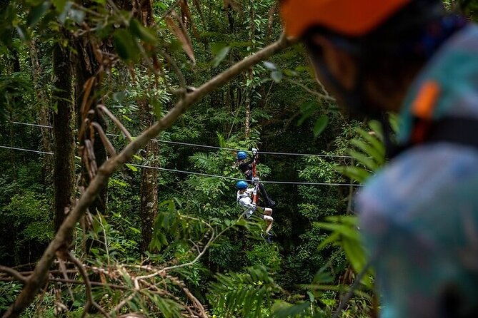 Ziplining Cape Tribulation with Treetops Adventures - The Experience: Safety, Comfort, and Education