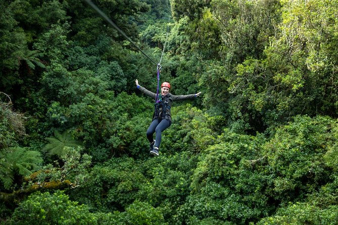 Ziplining Forest Adventure - The Original Canopy Tour Rotorua - Why Youll Love This Tour