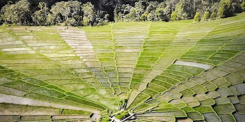 2d1n-exotic-waerebo-village-tour-from-labuan-bajo