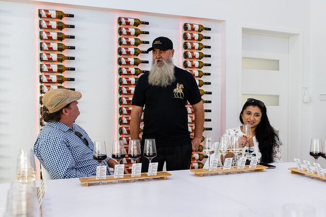 2h Wine Experience, Vineyard walk, 6 wines, charcuterie board - What to Expect from the 2-Hour Wine Experience