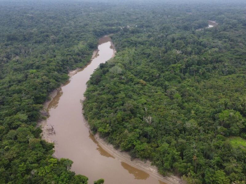 3-day-all-inclusive-guided-jungle-tour-from-iquitos-2