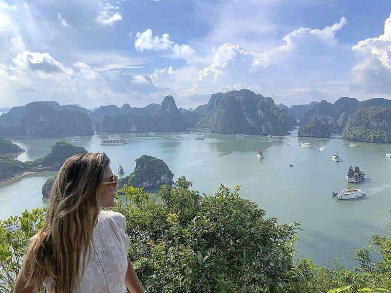 3-day-ha-long-lan-ha-bay-on-5-star-cruise-cavesislandmeals