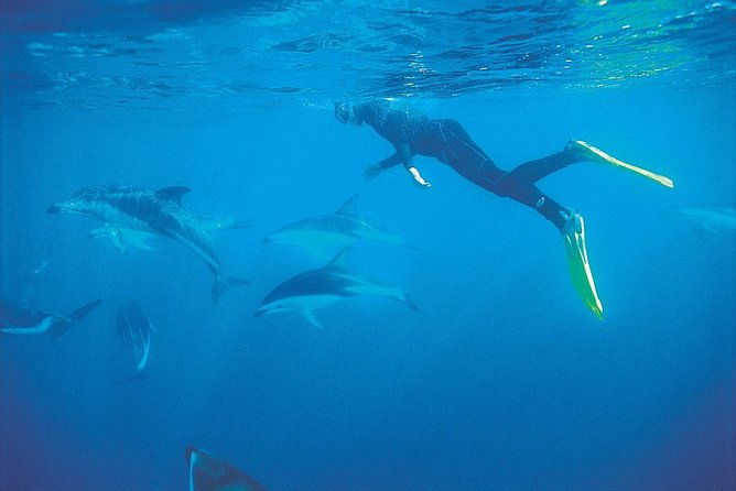 3 Day Kaikoura Sealife and Coach Tour from Christchurch - Key Points