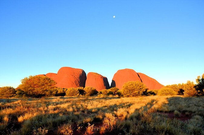 3-Day Uluru Kata Tjuta to Kings Canyon Safari from Ayers Rock - Key Points