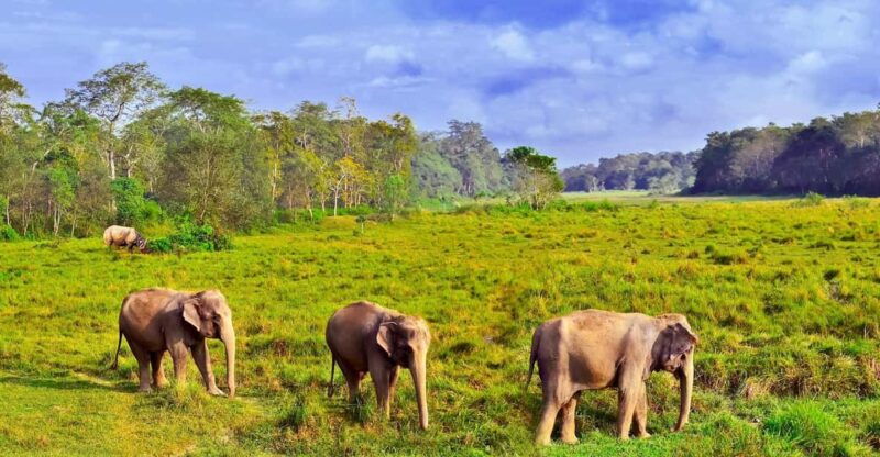 3-days-chitwan-jungle-tour-with-meals-kathmandu-pokhara