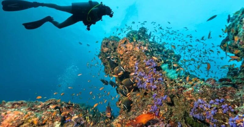 3-fun-dives-for-certified-king-cruiser-wreck-and-koh-dok-mai