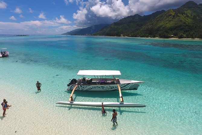 3-hour Lagoon Snorkeling Tour - Private Tour - An Authentic and Flexible Lagoon Snorkeling Experience in Moorea