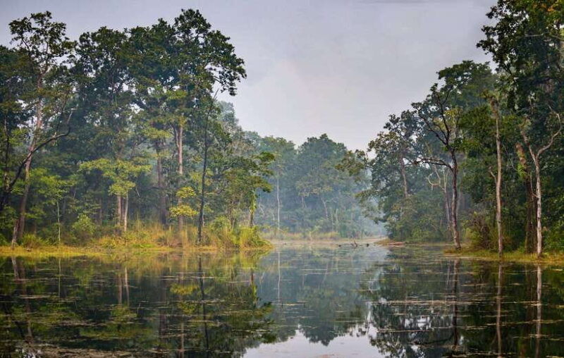 3-nights-4-days-chitwan-national-park-with-tower-night-stay-3